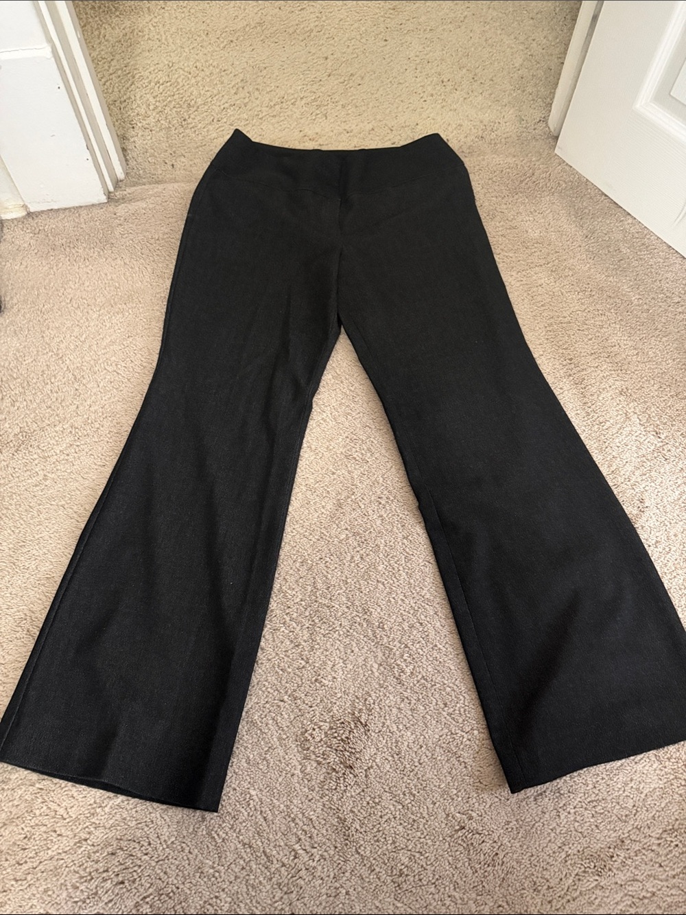 Express Black Boot Cut Knit Pants